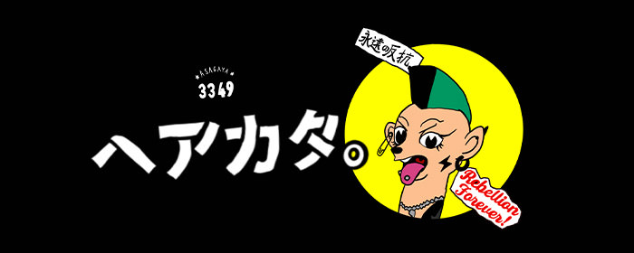 3369 ヘアカタ。